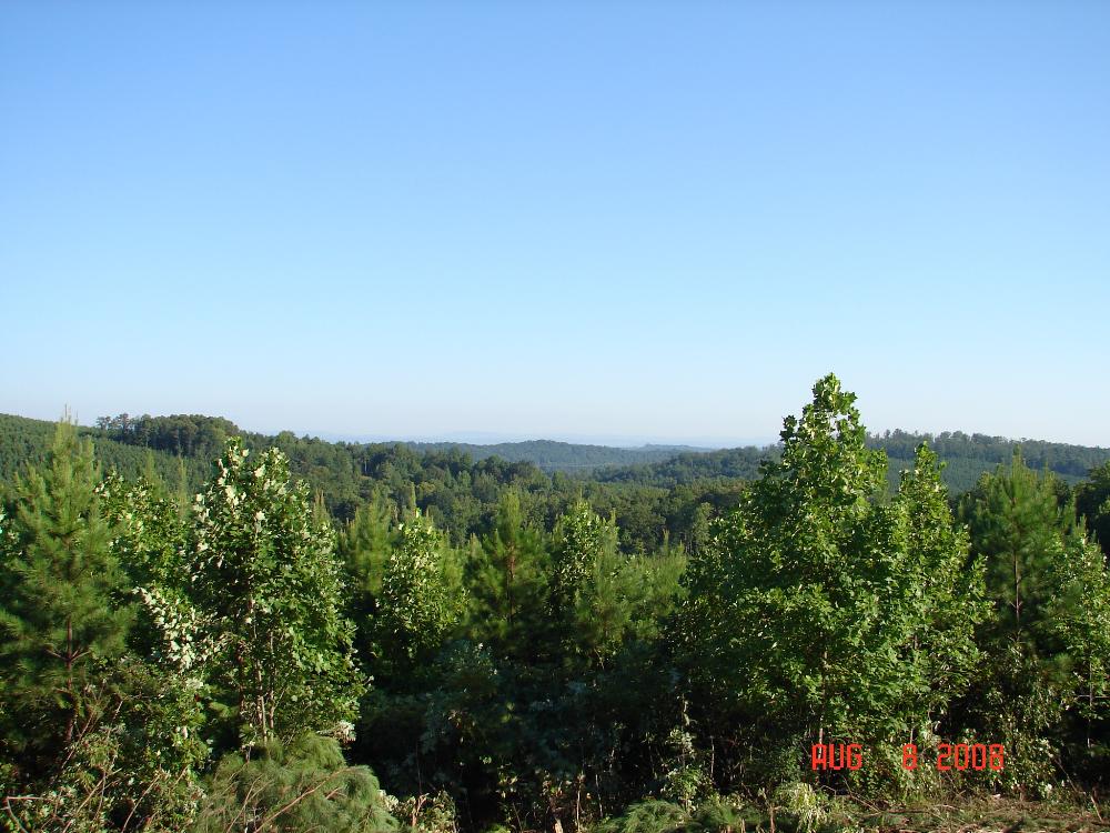Land for Sale in Decatur, Tennessee — 5.94            AC — $22,900.00