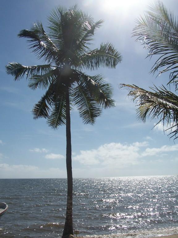 Land for Sale in Hopkins, Stann Creek — $45,000.00