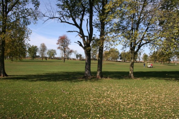 Land for Sale in Mason City, Illinois — 40.00           AC — $419,000.00
