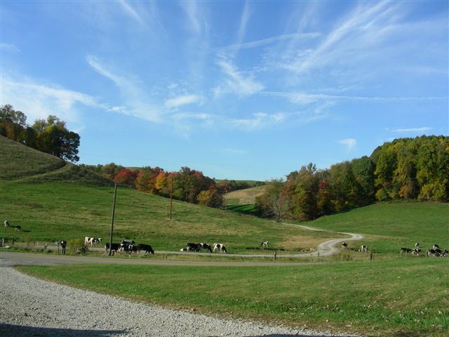 Land for Sale in Baltic, Ohio — 140.00          AC — $700,000.00
