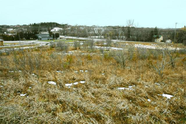 Land for Sale in newmarket, Ontario — 4.15            AC — CAD $3,200,000.00