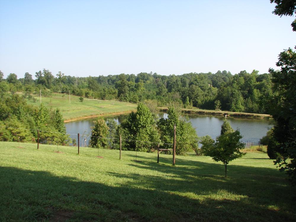 Land for Sale in Mocksville, North Carolina — 55.00           AC — $550,000.00