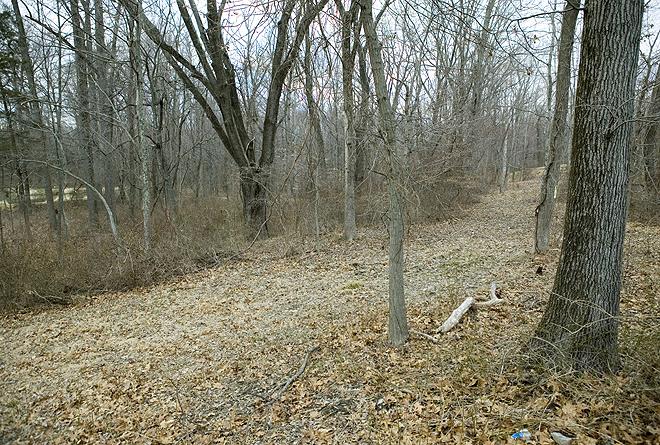 Land for Sale in Skillman, New Jersey — 12.00           AC — $595,000.00