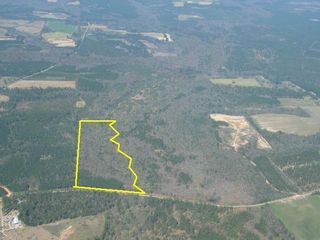Land for Sale in Ochlocknee, Georgia — 35.00           AC — $175,000.00