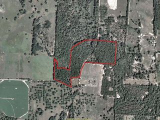 Land for Sale in Pavo, Georgia — 41.00           AC — $225,500.00