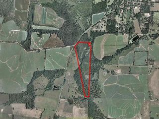 Land for Sale in Boston, Georgia — 71.81           AC — $172,344.00
