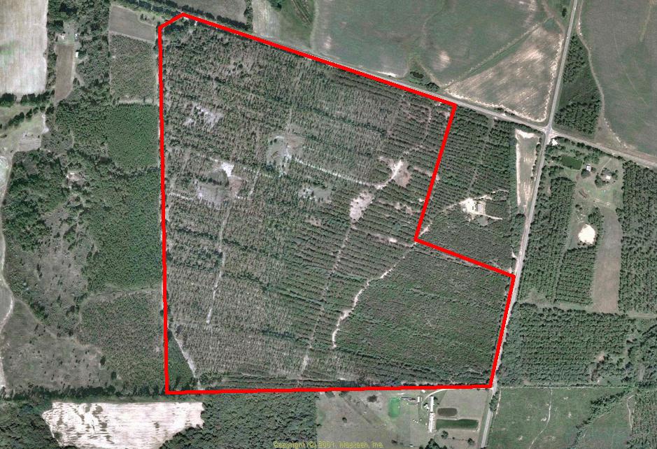 Land for Sale in Pelham, Georgia — 203.00          AC — $568,400.00