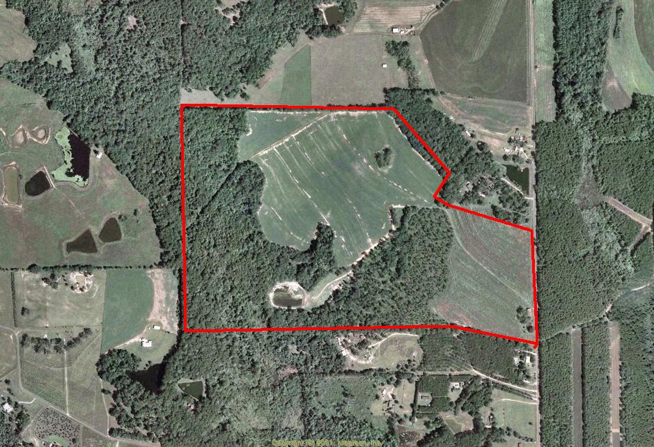 Land for Sale in Cairo, Georgia — 137.00          AC — $616,500.00