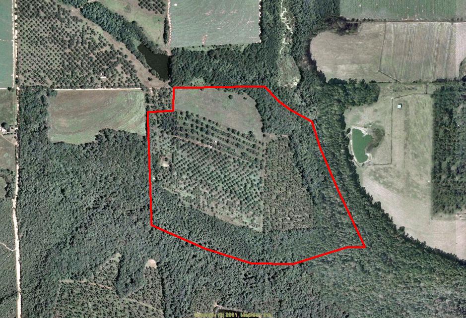 Land for Sale in Whigham, Georgia — 108.00          AC — $486,000.00
