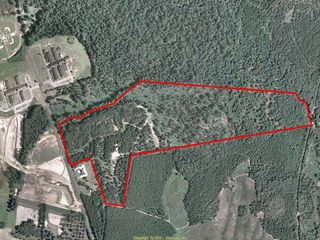 Land for Sale in Quitman, Georgia — 105.00          AC — $525,000.00