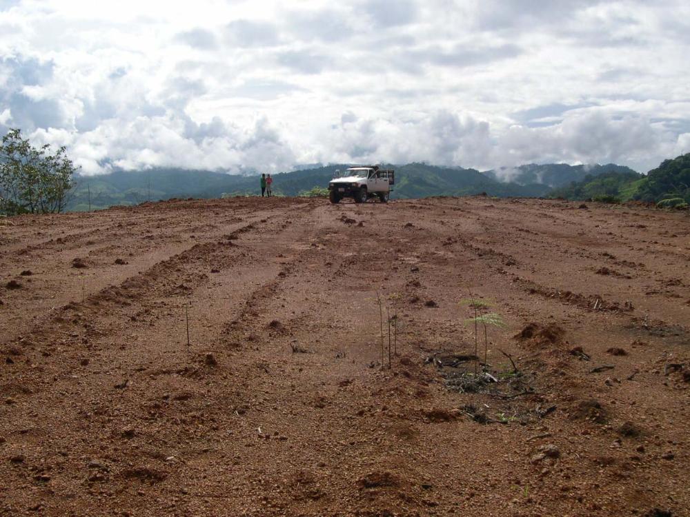 Land for Sale in Tres Piedras, Puntarenas — 25.00           AC — $120,000.00