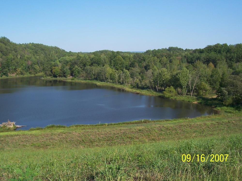 Land for Sale in Munford, Alabama — 52.00           AC — $195,000.00