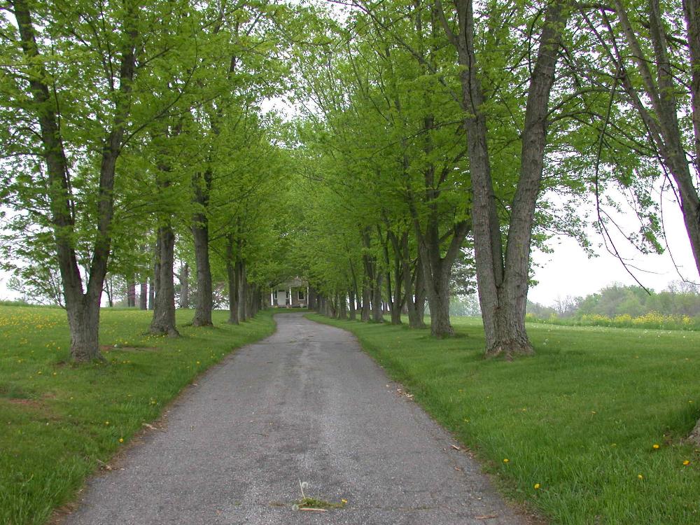 Land for Sale in Keymar, Maryland — 9.90            AC — $975,000.00