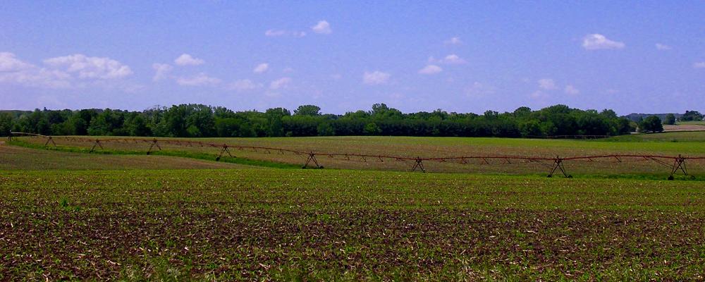 Land for Sale in Ohio, Illinois — 269.08          AC — $1,325,000.00