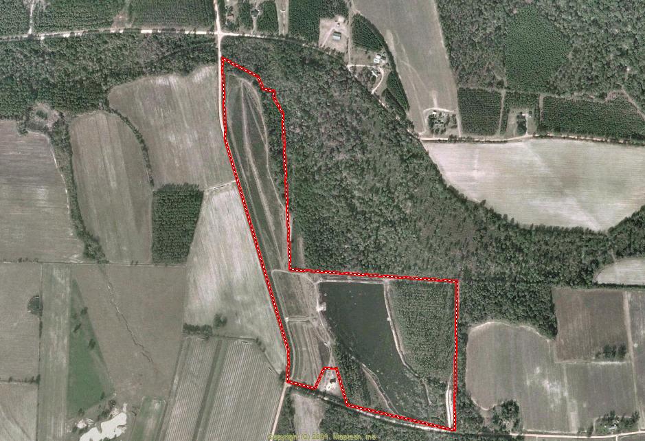 Land for Sale in Coolidge, Georgia — 66.00           AC — $650,000.00