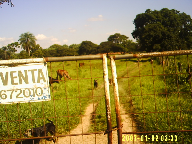 Land for Sale in SANTA CRUZ DE LA SIERRA, Santa Cruz — 215.00          HE — $1,950,000.00