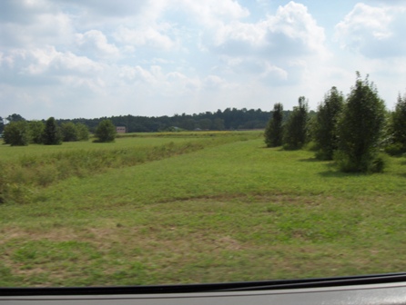 Land for Sale in Delaware — 14.50           AC — $725,000.00