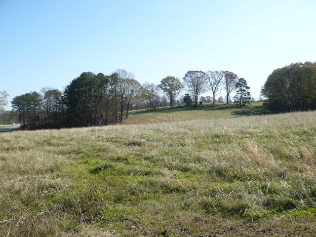Land for Sale in Salem, Alabama — 53.00           AC — $475,000.00