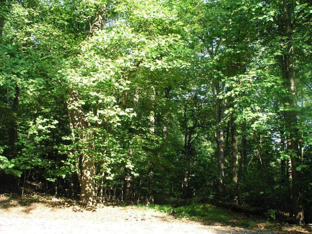 Land for Sale in Warren, New Jersey — 2.60            AC — $300,000.00