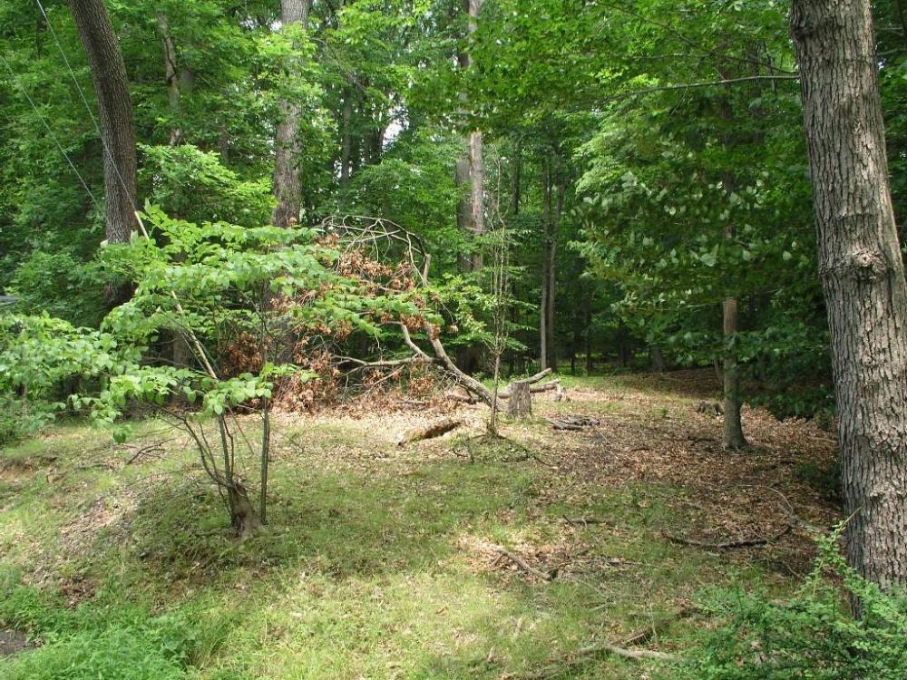 Land for Sale in Bridgewater, New Jersey — 2.39            AC — $200,000.00