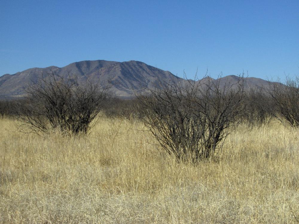 Land for Sale in Sunsites, Arizona — 1.15            AC — $12,000.00