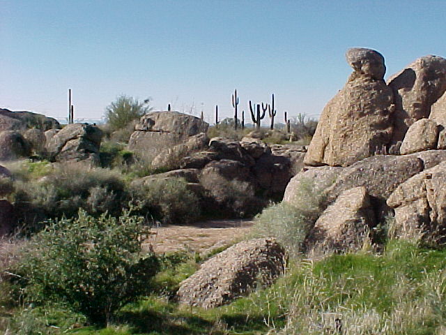 Land for Sale in Scottsdale, Arizona — 5.00            AC — $899,000.00