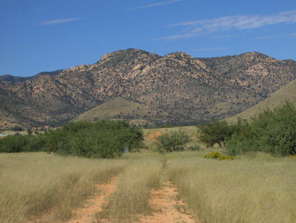 Land for Sale in Sunsites, Arizona — 1.07            AC — $20,000.00