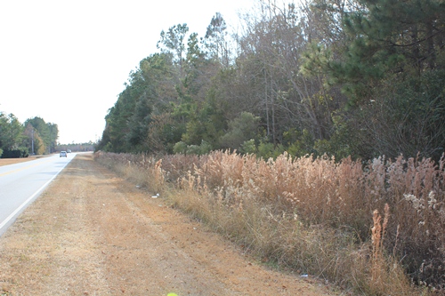 Land for Sale in Moncks Corner, South Carolina — 5.80            AC — $726,250.00