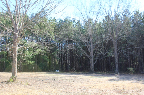 Land for Sale in St. George, South Carolina — $90,000.00