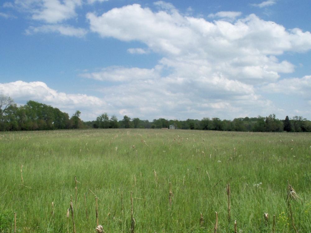 Land for Sale in Salem, New Jersey — 90.00           AC — $900,000.00