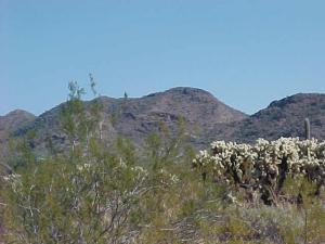 Land for Sale in Wittmann, Arizona — 5.00            AC — $85,000.00