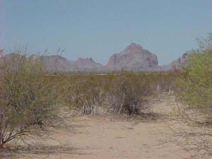 Land for Sale in Tonopah, Arizona — 40.00           AC — $320,000.00