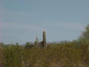 Land for Sale in Wittmann, Arizona — 5.00            AC — $75,000.00