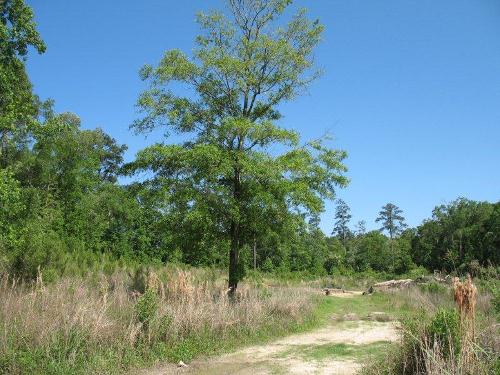 Land for Sale in Summerville, South Carolina — 4.42            AC — $398,175.00