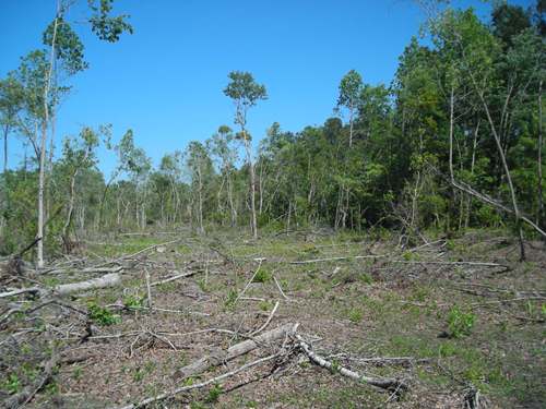 Land for Sale in St. Stephens, South Carolina — 5.19            AC — $35,000.00