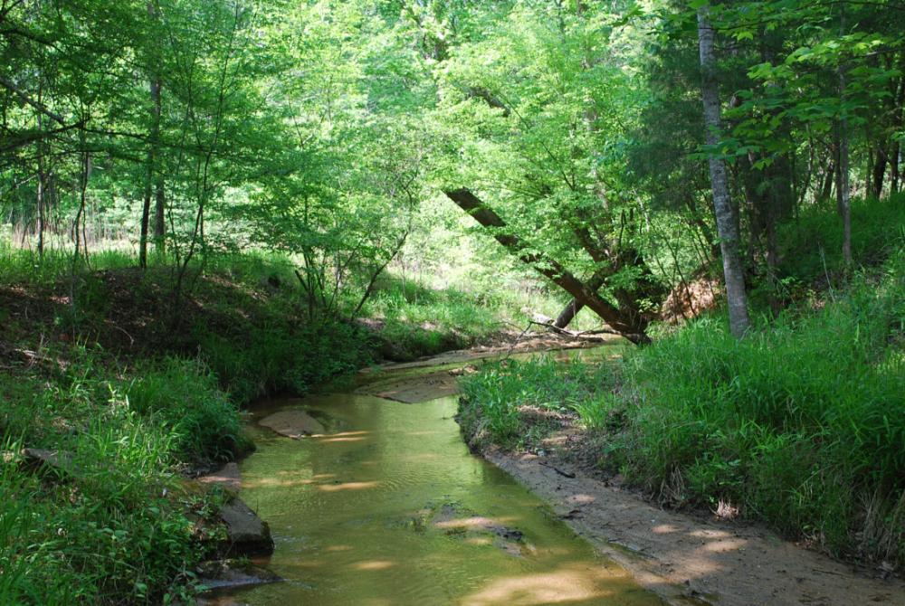 Land for Sale in Union, South Carolina — 439.50          AC — $952,000.00