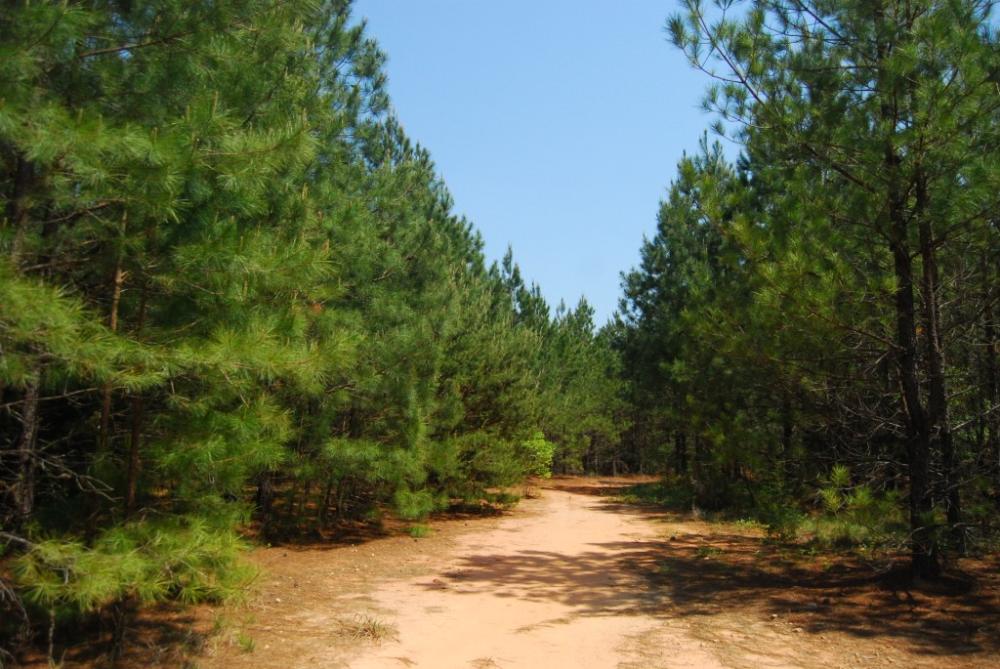 Land for Sale in Cross Anchor, South Carolina — 765.90          AC — $1,995,000.00