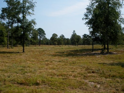 Land for Sale in Camden, South Carolina — 11.00           AC — $72,000.00