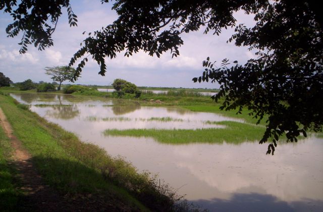 Land for Sale in Guayaquil, Guayas — 225.00          HE — $225.00
