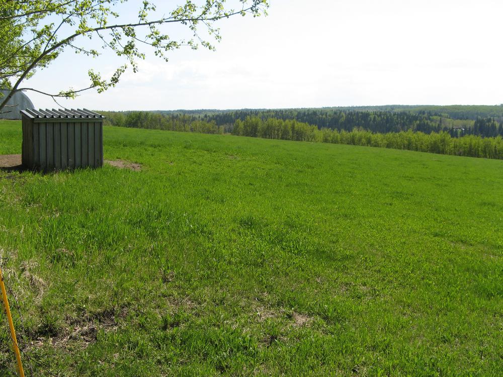 Land for Sale in CREMONA, Alberta — 89.05           AC — CAD $599,000.00