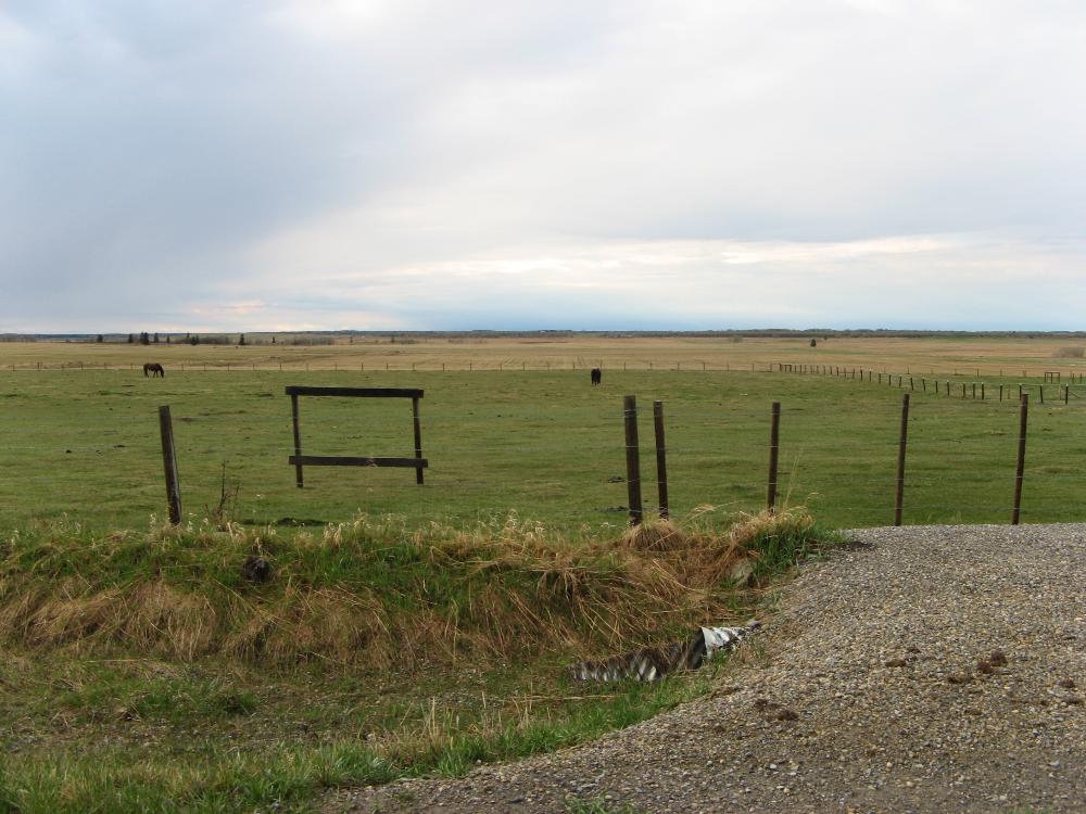 Land for Sale in COCHRANE, Alberta — 50.21           AC — CAD $599,900.00