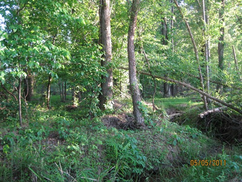 Land for Sale in Winnsboro, South Carolina — 351.00          AC — $625,350.00