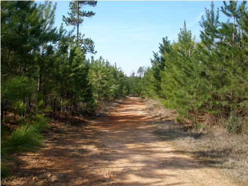 Land for Sale in Union, South Carolina — 313.84          AC — $724,970.00