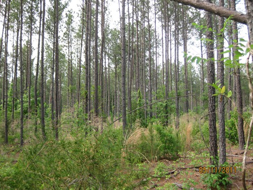 Land for Sale in Cross Hill, South Carolina — 111.41          AC — $275,517.00