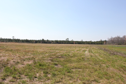 Land for Sale in Summerville, South Carolina — 9.16            AC — $125,000.00