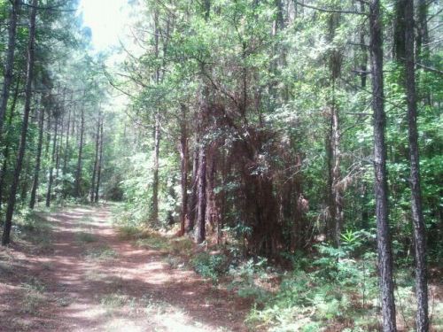 Land for Sale in Manning, South Carolina — 51.00           AC — $149,430.00