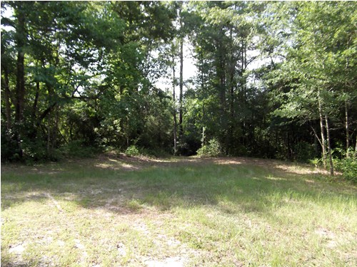 Land for Sale in Batesburg, South Carolina — 30.00           AC — $149,900.00