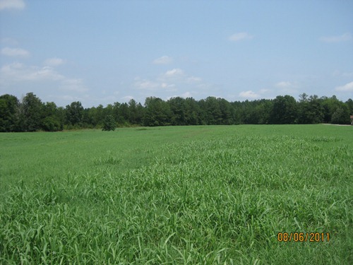 Land for Sale in Newberry, South Carolina — 109.00          AC — $218,000.00