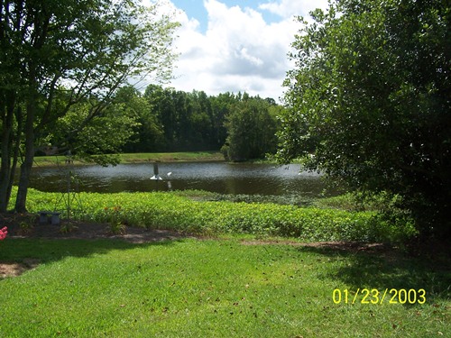 Land for Sale in Manning, South Carolina — $35,000.00