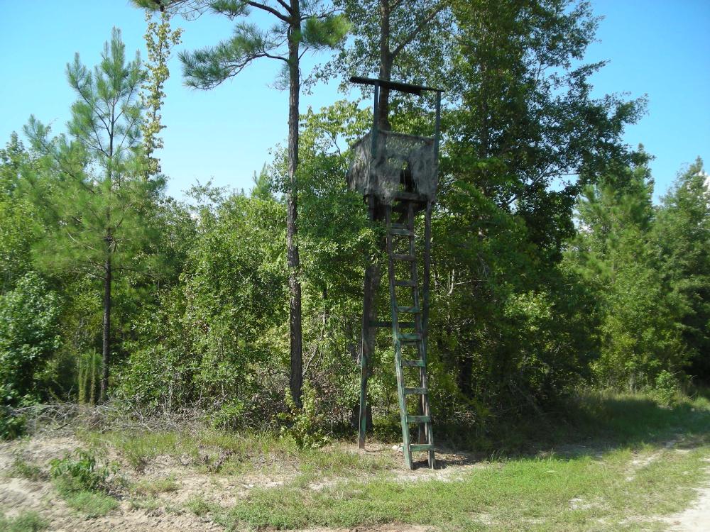 Land for Sale in Bonneau, South Carolina — 215.00          AC — $451,500.00